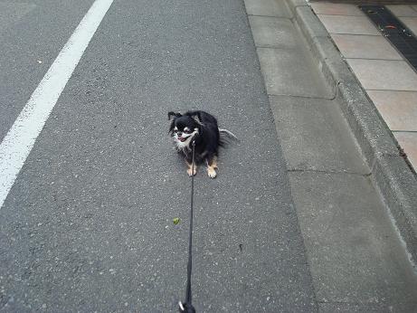 帰り道_d0006467_2352368.jpg