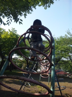 e0090273_88339.jpg