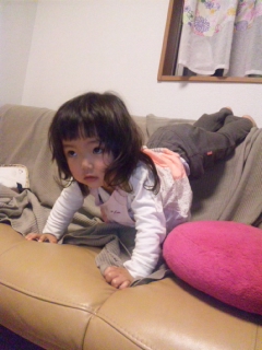 e0090273_88432.jpg