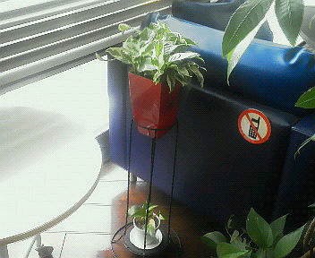 b0001280_17174016.jpg