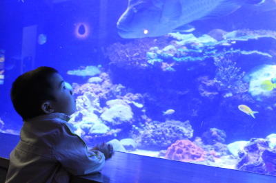 d0021081_0192053.jpg