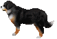 b0136683_9562814.gif