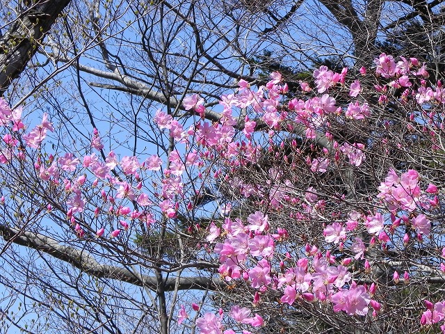 b0047184_139116.jpg