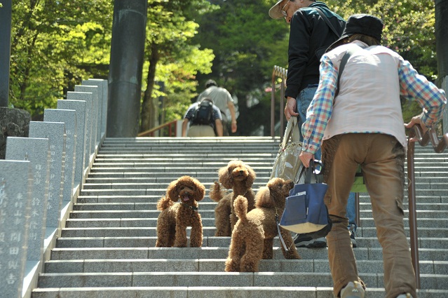 mitakeyama~hinodeyama_f0014187_2156673.jpg