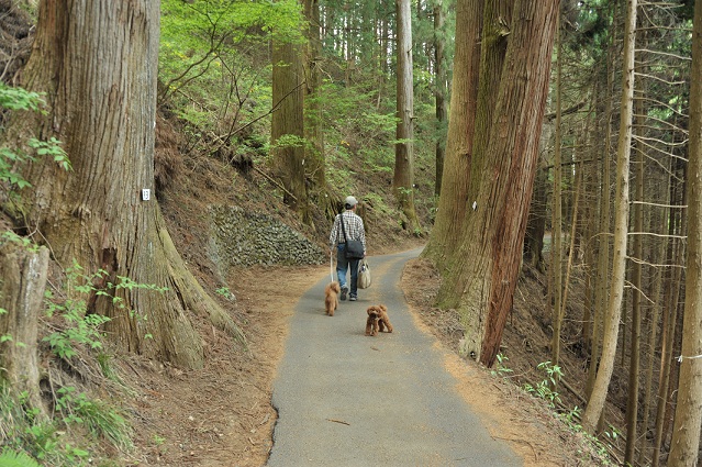 mitakeyama~hinodeyama_f0014187_233397.jpg