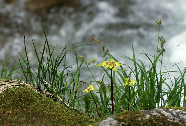 f0000789_11225116.jpg