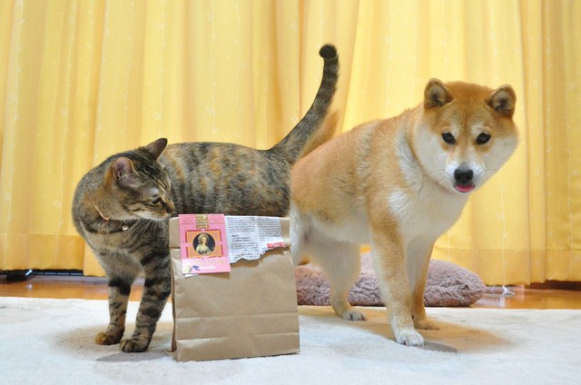 ビクビクおやつタイムの巻_a0126590_22254259.jpg