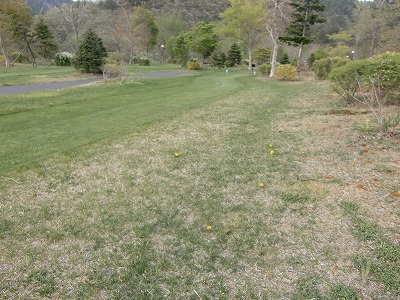 b0219993_16522147.jpg