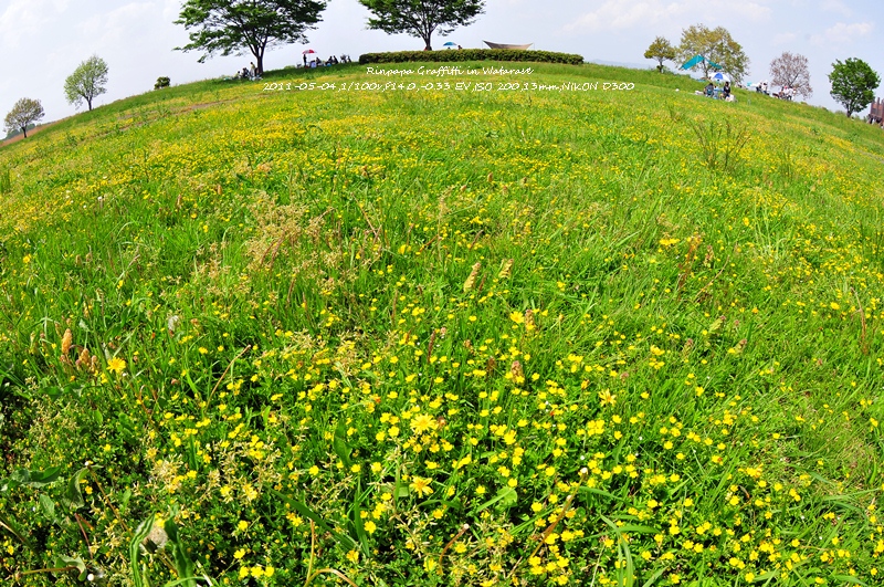 RTK in Watarase_a0103596_2162896.jpg