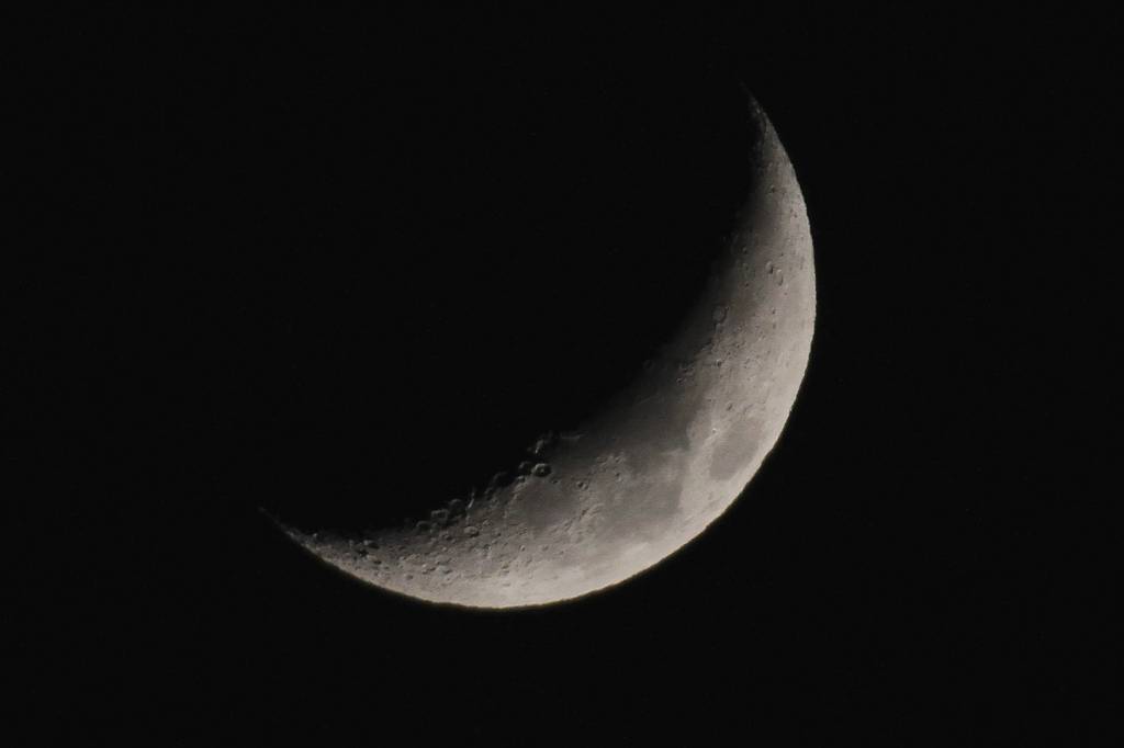 b0024798_543231.jpg