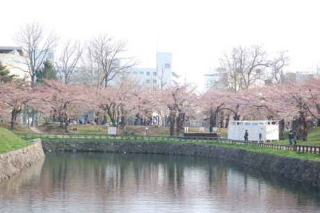 初めての春の北海道！！！　雪と桜と寿司_c0122198_23192768.jpg