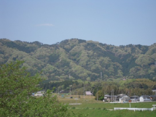 c0168308_146534.jpg
