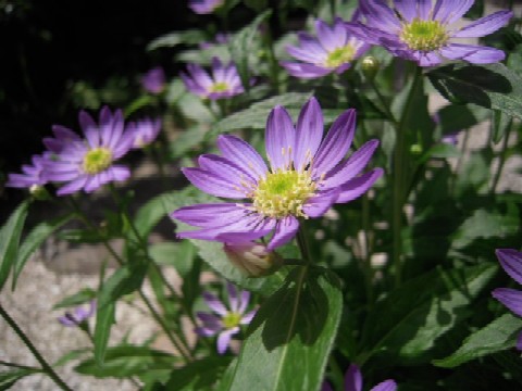 c0168308_2152648.jpg