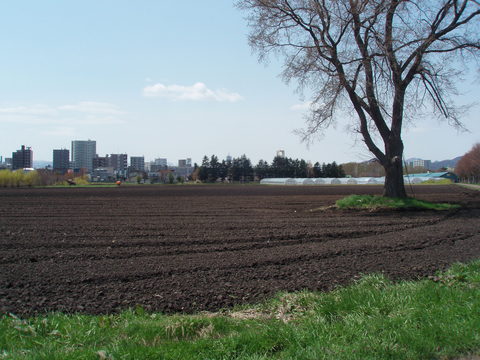 b0198109_10192392.jpg