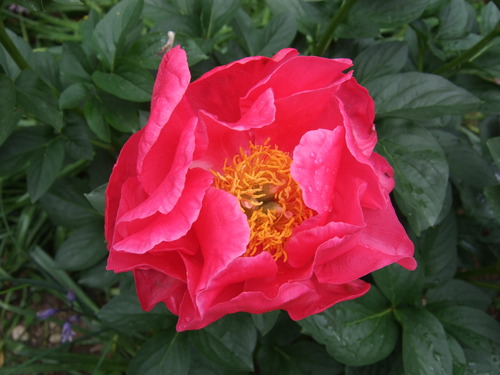 b0107310_22141010.jpg