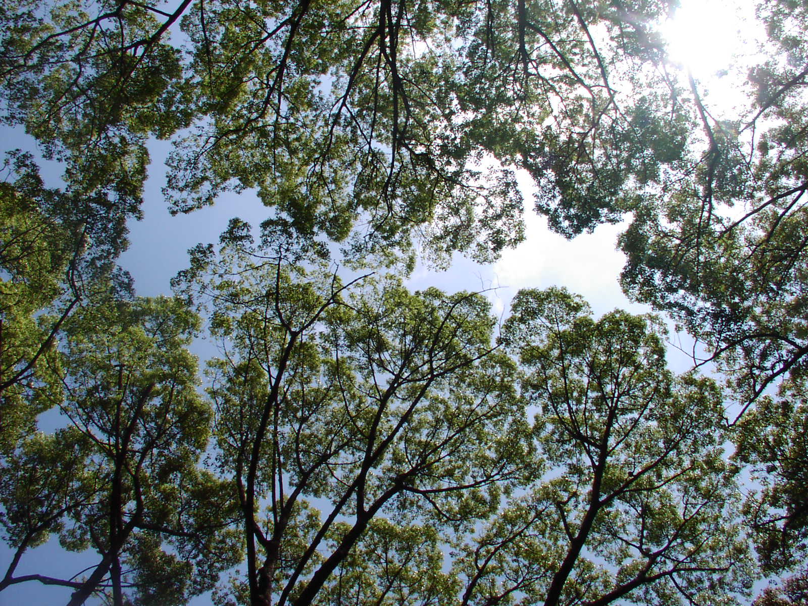 f0164410_2245479.jpg