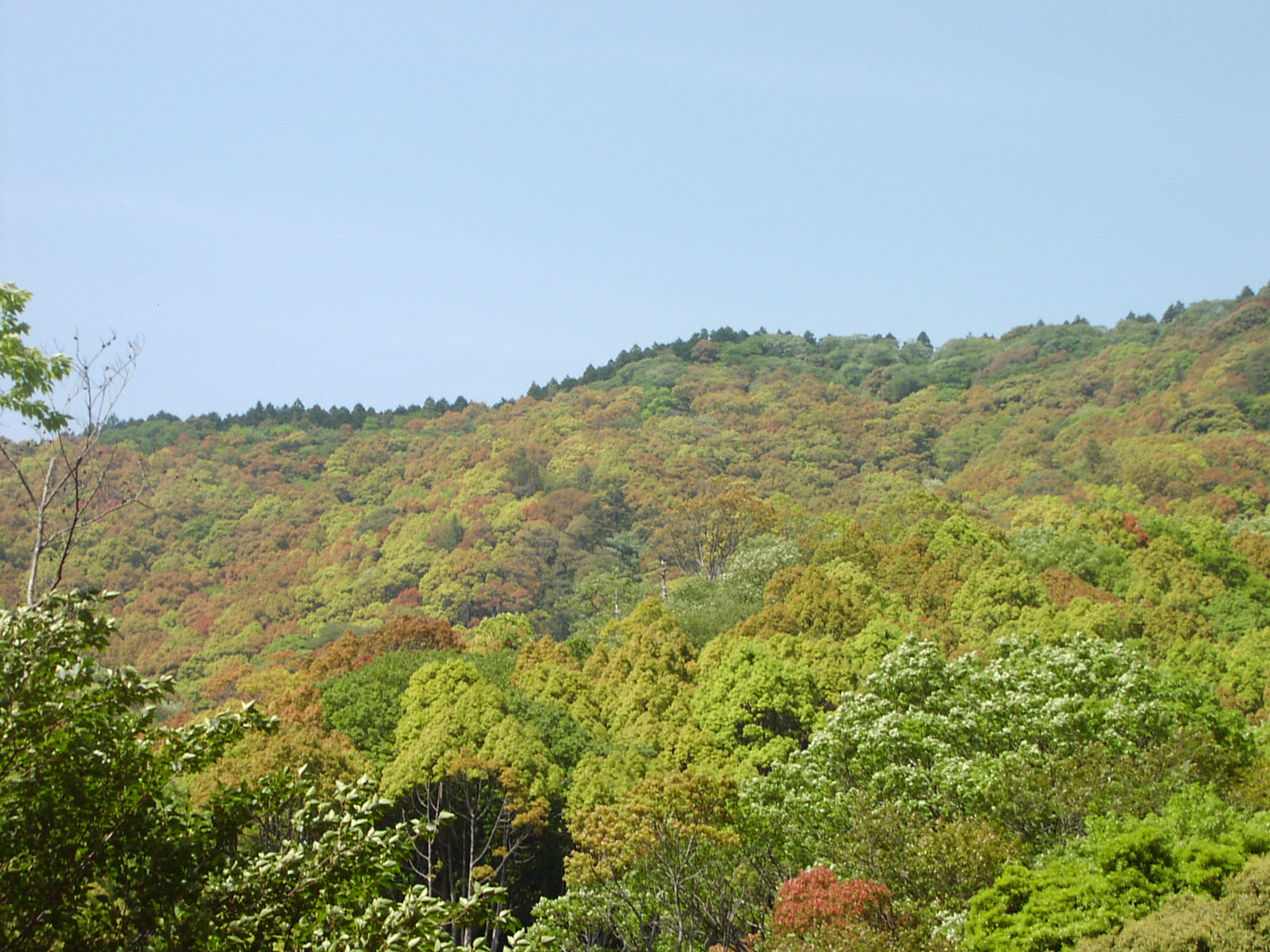 f0164410_2245488.jpg