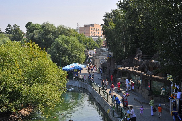 a0151913_20571570.jpg