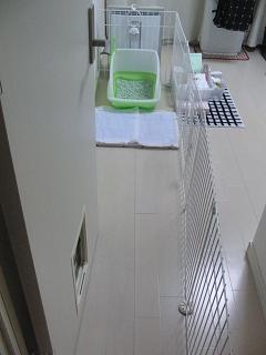 c0201113_2024404.jpg