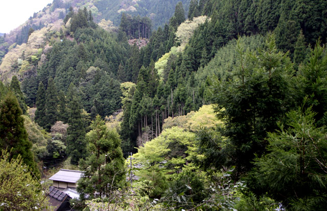 e0048413_2015598.jpg
