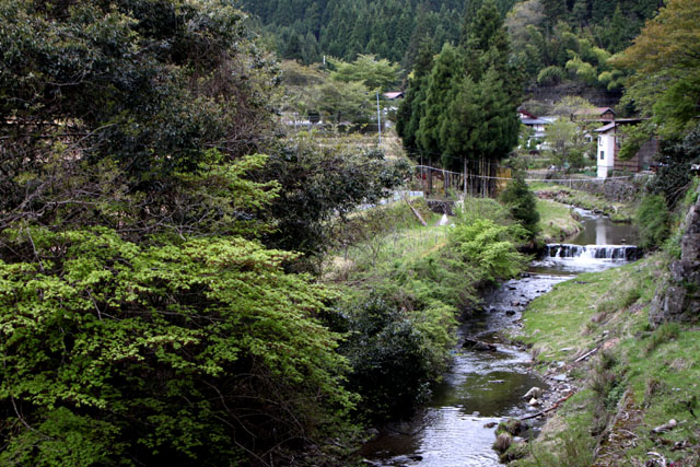e0048413_2016113.jpg