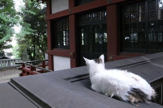 e0224413_21554983.jpg