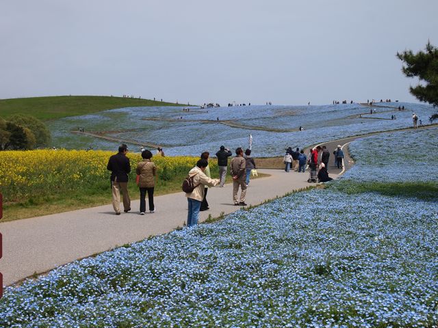 a0151615_22292945.jpg