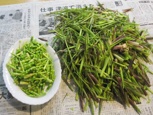 c0141223_22193428.jpg