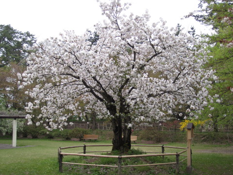 b0147224_23244371.jpg