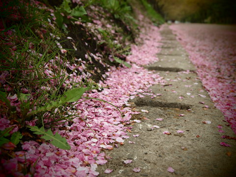 b0147224_23393833.jpg