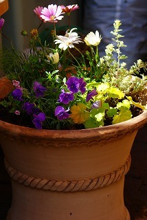f0170524_18551961.jpg