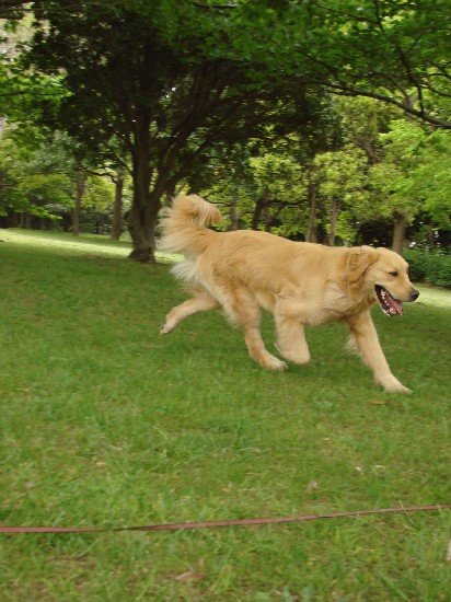 f0035927_13443718.jpg