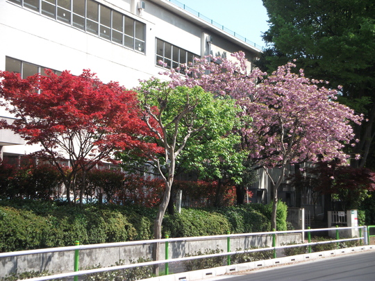 b0212828_865691.jpg