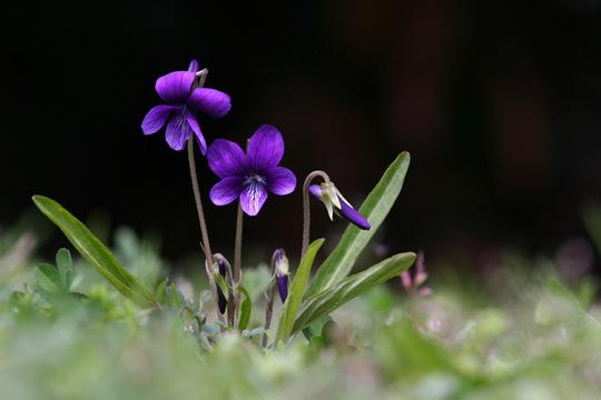 b0186129_12259.jpg