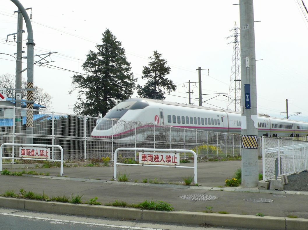 花便り Part4 ＠　岩手県　一本桜_b0113231_8571432.jpg