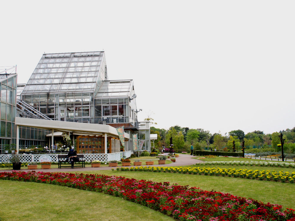 d0213034_2074831.jpg
