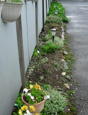 e0097534_1528481.jpg