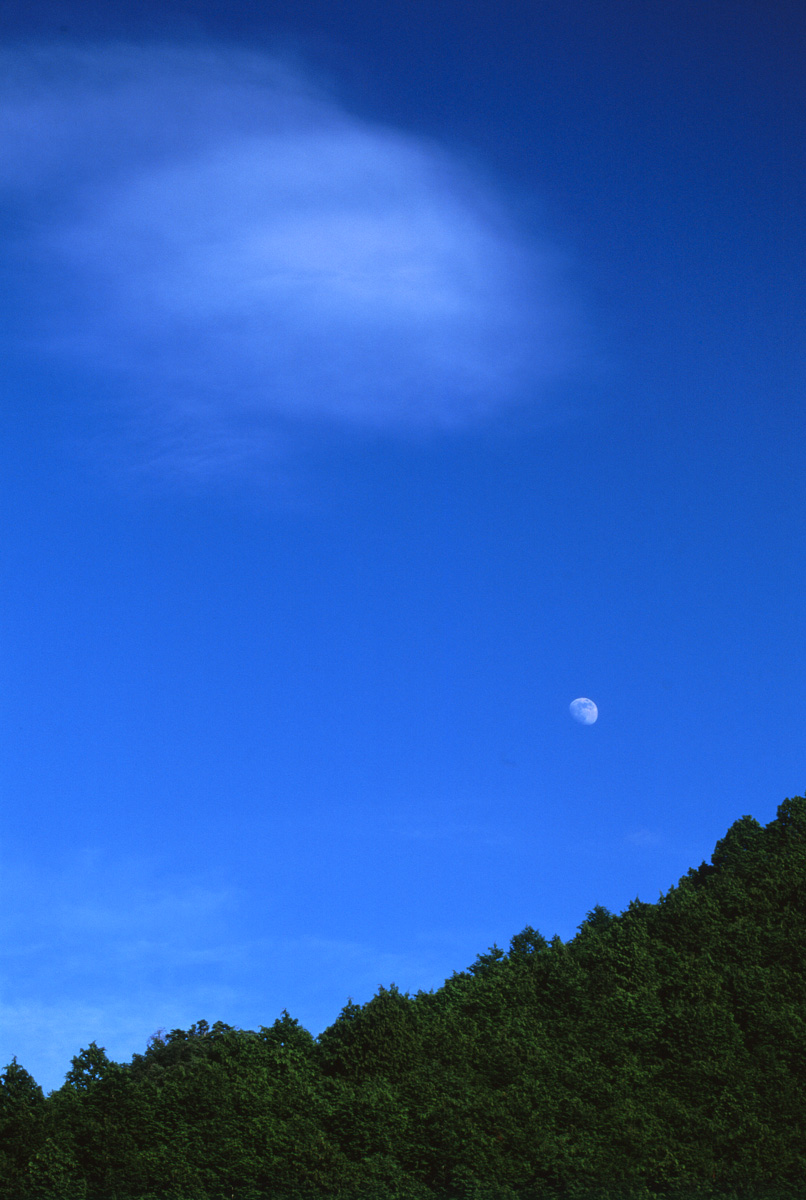 b0195635_0165712.jpg