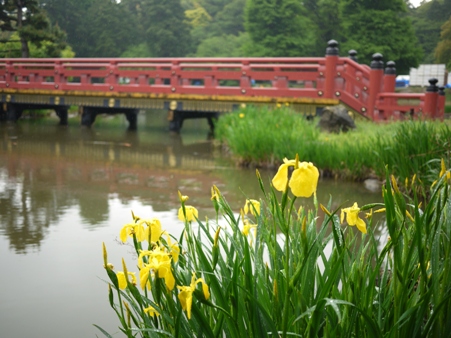 f0232136_941529.jpg
