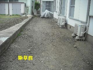 あれもこれも・・・・・・・・_f0031037_22253340.jpg