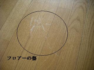 あれもこれも・・・・・・・・_f0031037_22261781.jpg