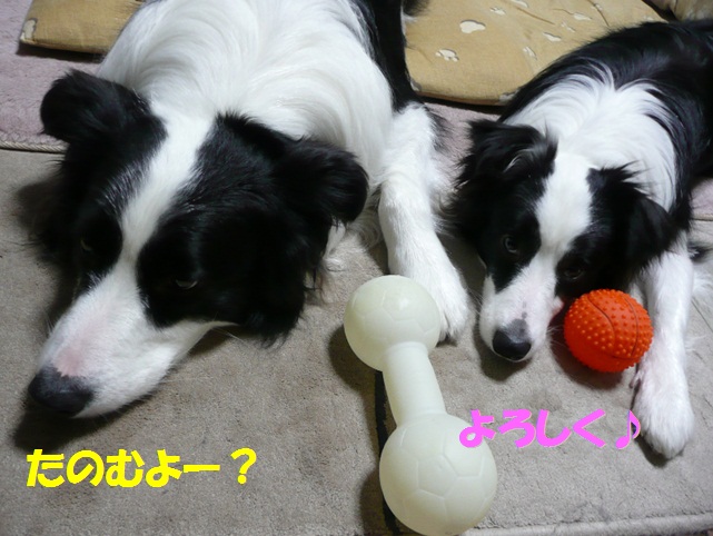 c0147241_2202554.jpg