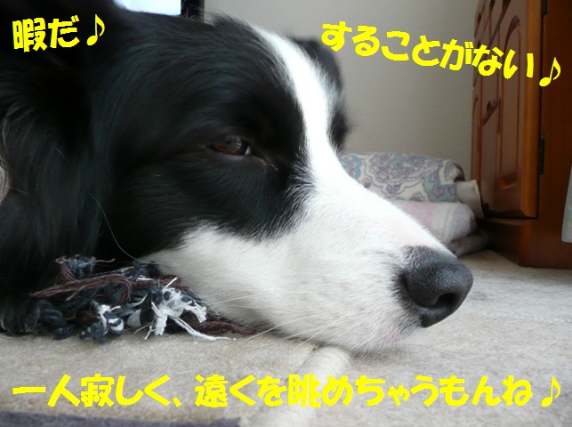 c0147241_2203039.jpg