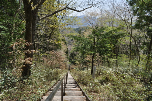 f0058241_8582361.jpg