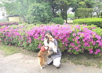 薔薇+犬のテーマパークでドッグラン♪_e0195743_2311717.jpg