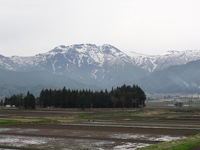 八海山雪が消えました_a0084753_14215623.jpg