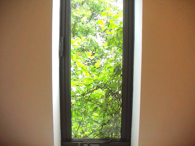 雨の日と水曜日は。_e0060555_22332247.jpg