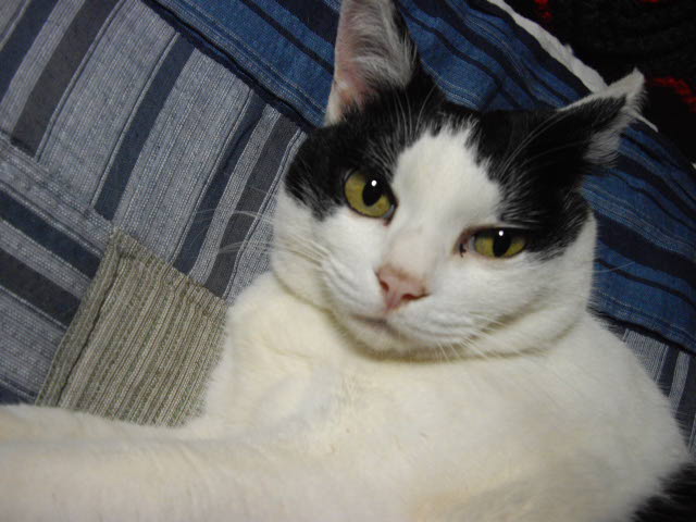 d0116059_21135225.jpg