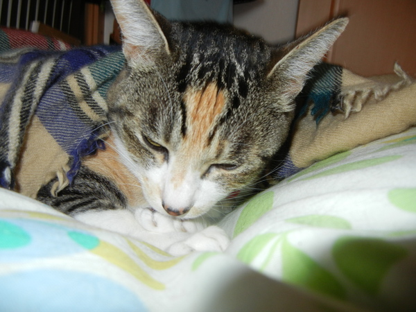 2011年5月11日(水)雨の日も楽し♪_f0060461_222665.jpg