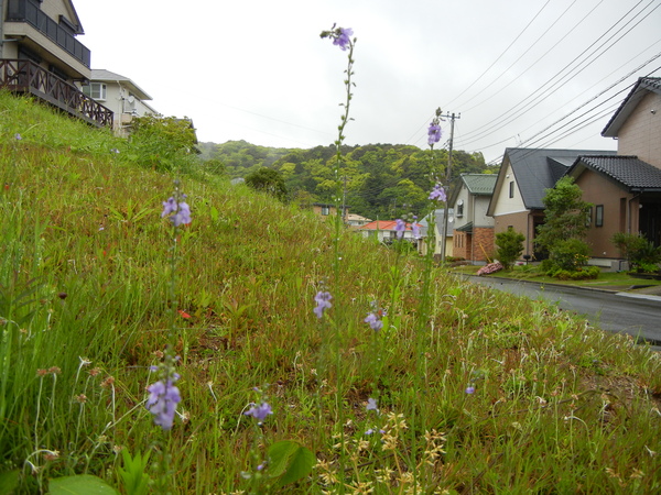 2011年5月11日(水)雨の日も楽し♪_f0060461_22442496.jpg